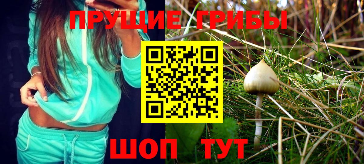 Псилоцибиновые грибы Psilocybe  Вход с VPN  Псилоцибиновые грибы мухоморы  Асбест 